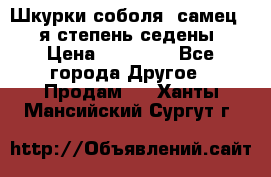 Шкурки соболя (самец) 1-я степень седены › Цена ­ 12 000 - Все города Другое » Продам   . Ханты-Мансийский,Сургут г.